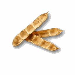 item_byproduct_bean_1