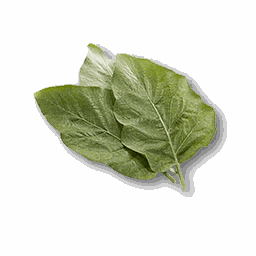 item_byproduct_potato_1