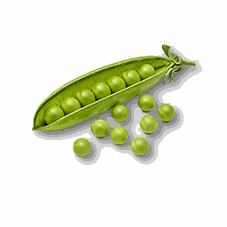 item_corp_bean_1