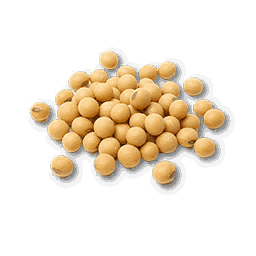item_corp_bean_seed_1