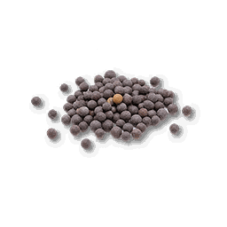 item_corp_cabbage_seed_1