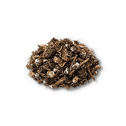 item_corp_mushroom_seed_1