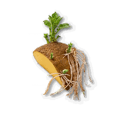 item_corp_potato_seed_1