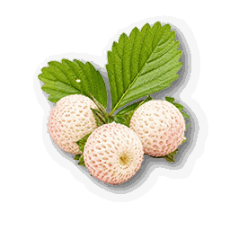 item_corp_strawberry_1