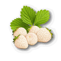item_corp_strawberry_2