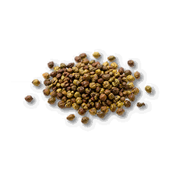 item_corp_strawberry_seed_1