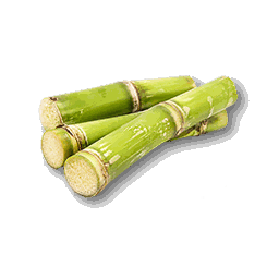 item_corp_sugarcane_1