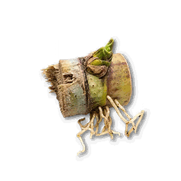 item_corp_sugarcane_seed_1