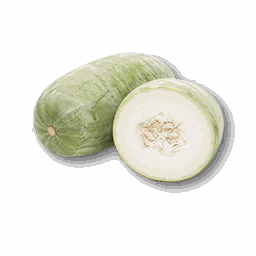 item_corp_whitegourd_1