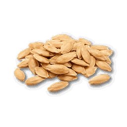 item_corp_whitegourd_seed_1