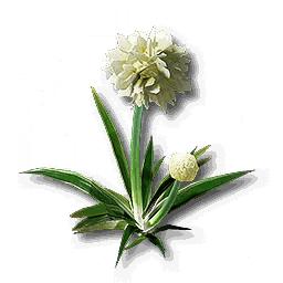 item_plant_grass_1