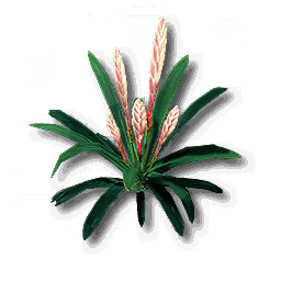 item_plant_grass_2
