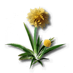 item_plant_grass_spc_1