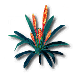 item_plant_grass_spc_2