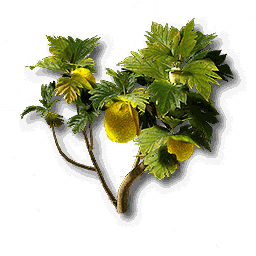 item_plant_moss_2