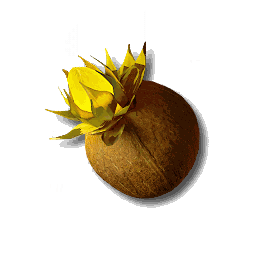 item_plant_moss_seed_3