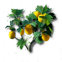 item_plant_moss_spc_2