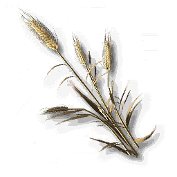 item_plant_sp_1