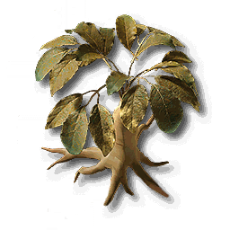 item_plant_sp_3