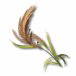 item_plant_sp_4