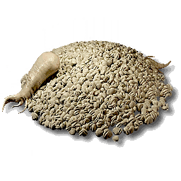 item_plant_sp_seed_3