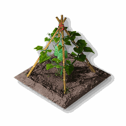 item_port_soil_corp_bean_1
