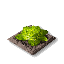 item_port_soil_corp_cabbage_1