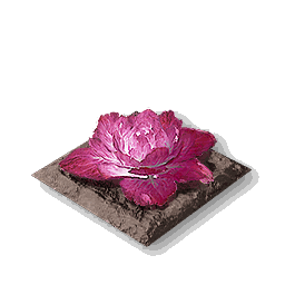 item_port_soil_corp_cabbage_2