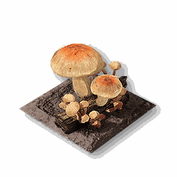 item_port_soil_corp_mushroom_2