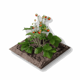 item_port_soil_corp_strawberry_1