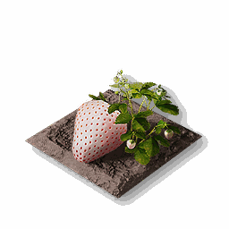 item_port_soil_corp_strawberry_2