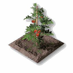 item_port_soil_corp_tomato_1
