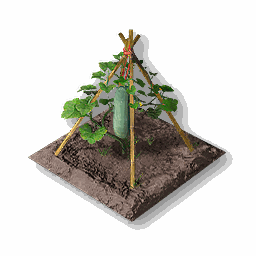item_port_soil_corp_whitegourd_1