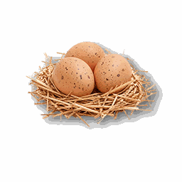 item_ranch_egg_1