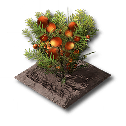 item_port_soil_moss_1
