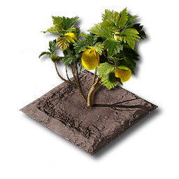 item_port_soil_moss_2
